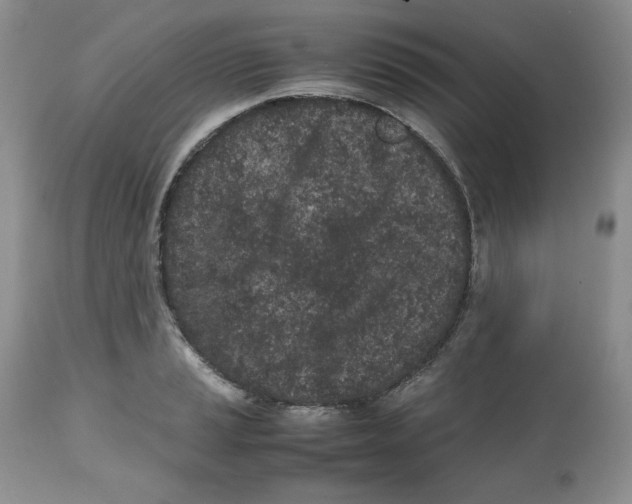 X0000112511037200909141155