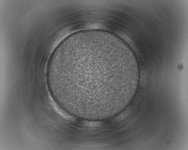 X0000112511039200909141155