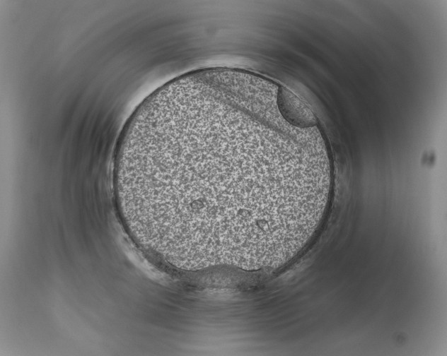 X0000112511044200909141155