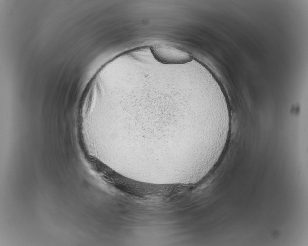 X0000112511048200909141155