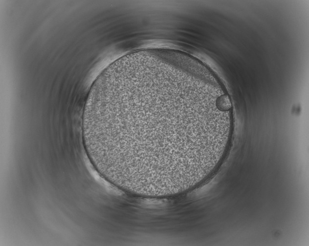 X0000112511049200909141155