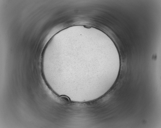 X0000112511050200909141155