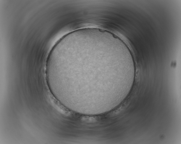 X0000112511051200909141155