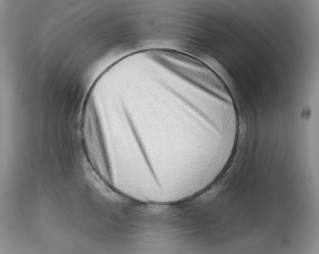 X0000112511052200909141155