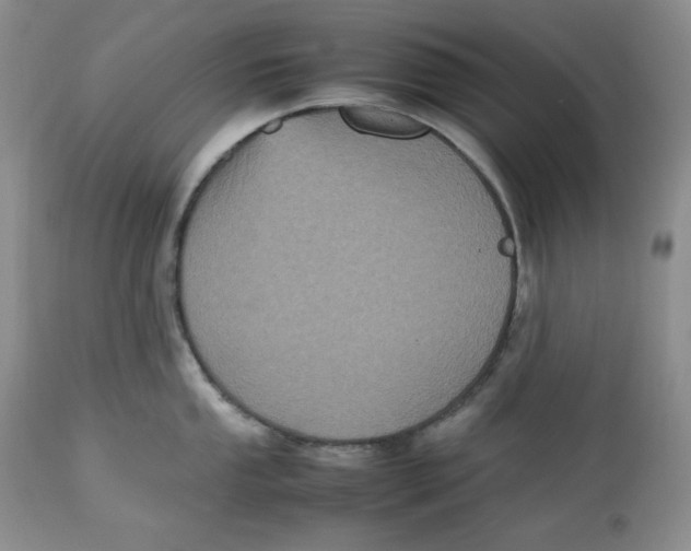 X0000112511053200909141155