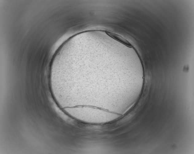 X0000112511054200909141155