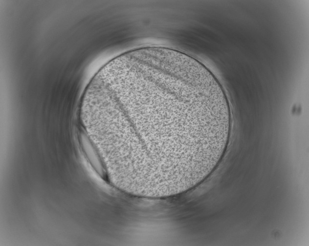 X0000112511056200909141155