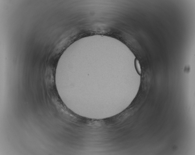 X0000112511058200909141154