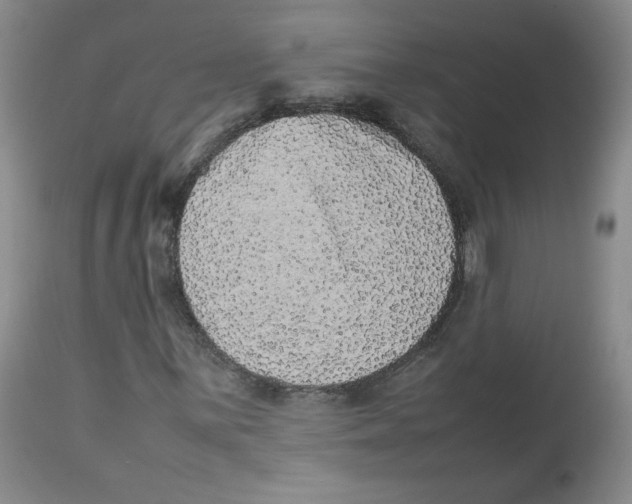 X0000112511059200909141154