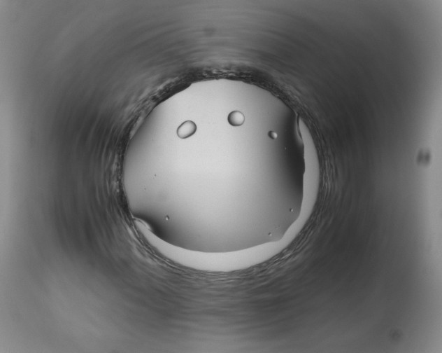 X0000112511060200909141154