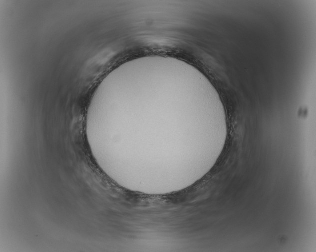 X0000112511061200909141154