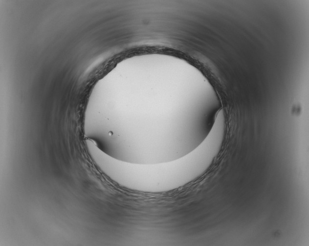 X0000112511064200909141154