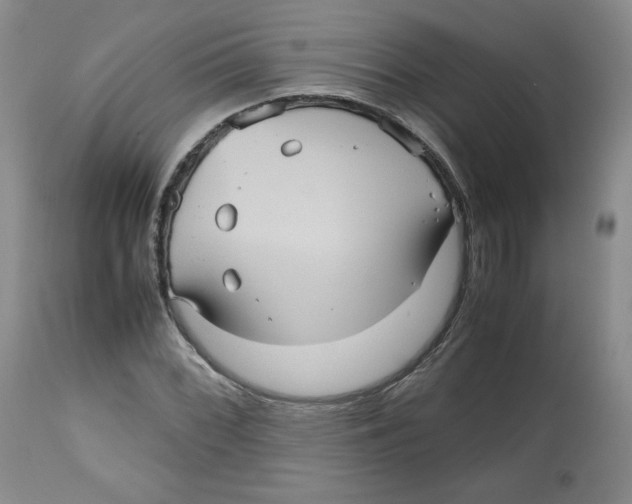 X0000112511068200909141154