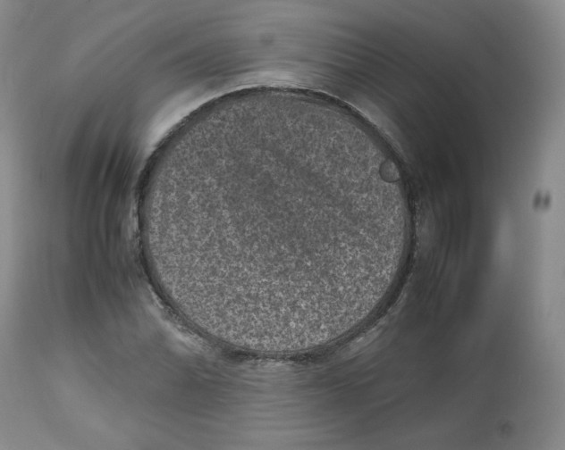 X0000112511070200909141154