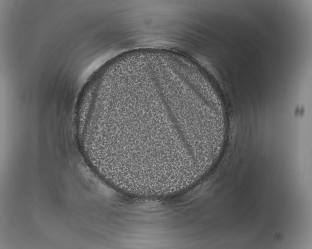 X0000112511071200909141154