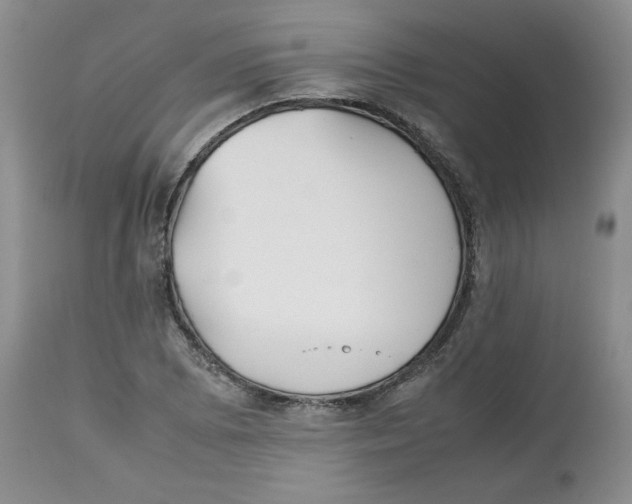 X0000112511073200909141154