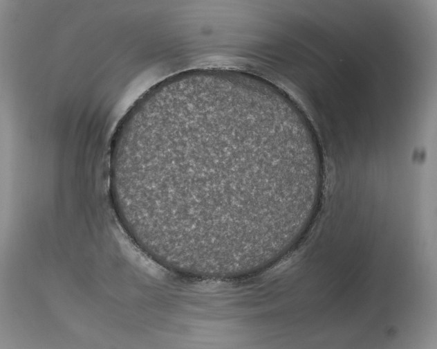 X0000112511075200909141154