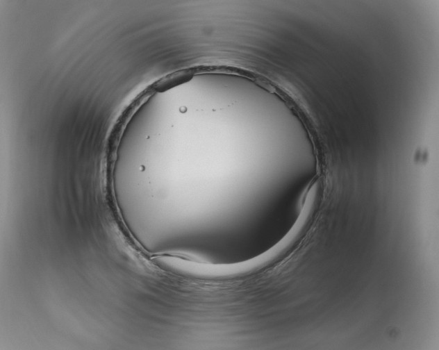 X0000112511076200909141154