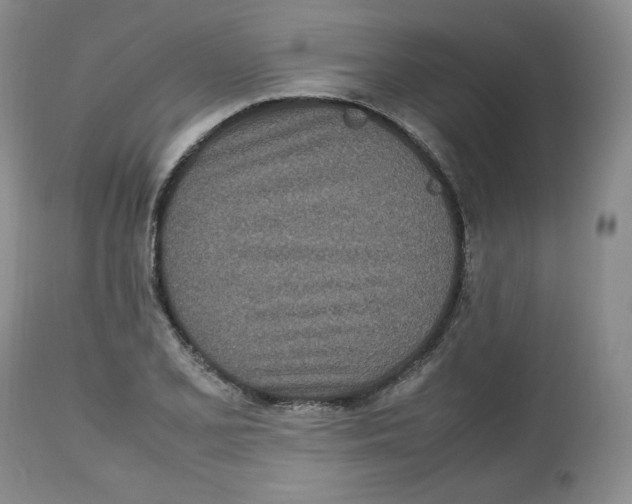 X0000112511077200909141154