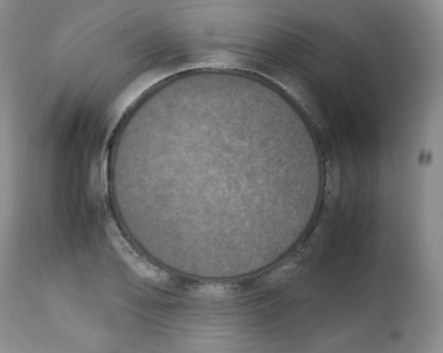 X0000112511078200909141154