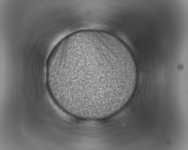 X0000112511079200909141154