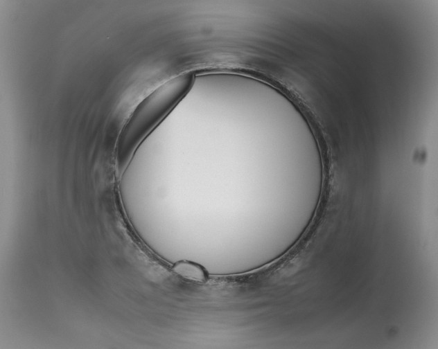 X0000112511081200909141154