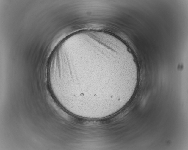 X0000112511083200909141154