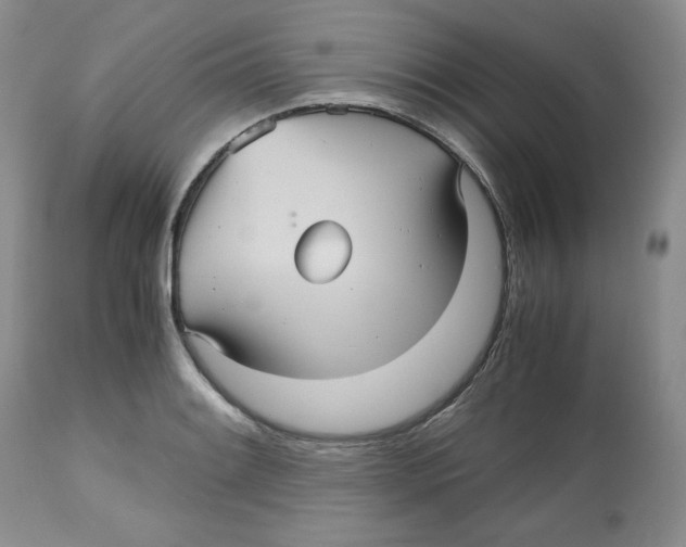 X0000112511084200909141154