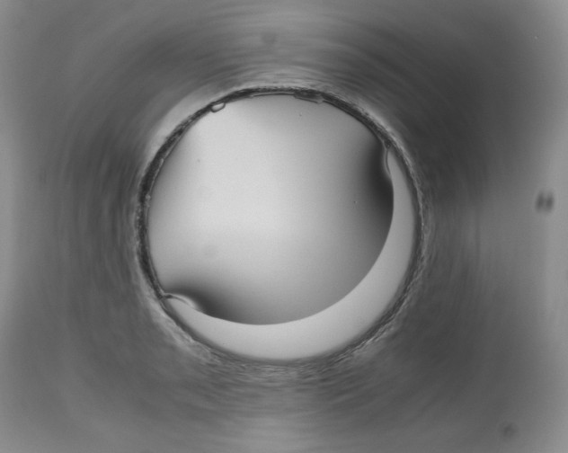 X0000112511085200909141154