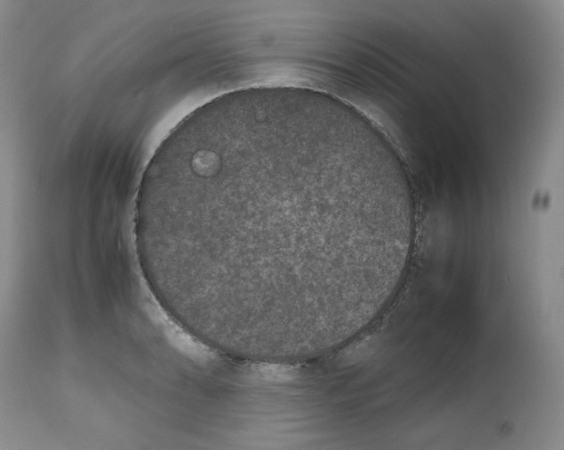 X0000112511086200909141154