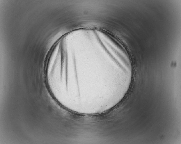 X0000112511087200909141154