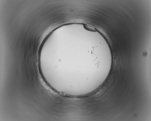 X0000112511088200909141154