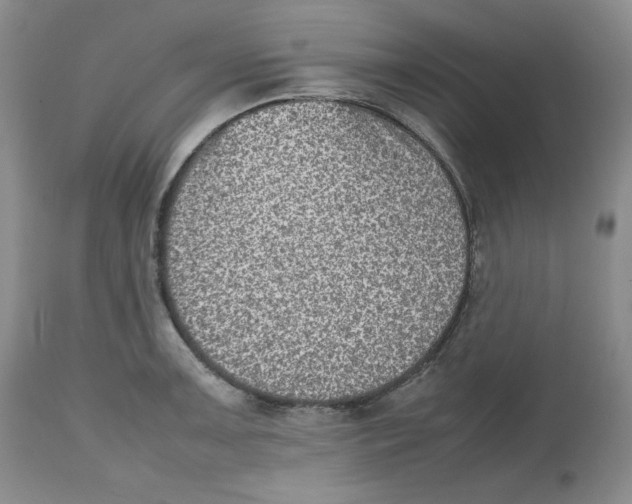 X0000112511091200909141154