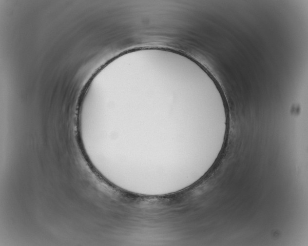 X0000112511093200909141154