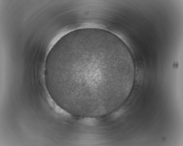 X0000112511094200909141154