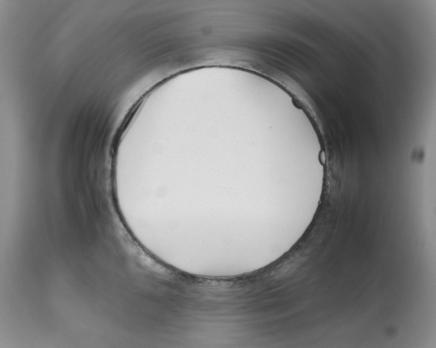 X0000112511096200909141154