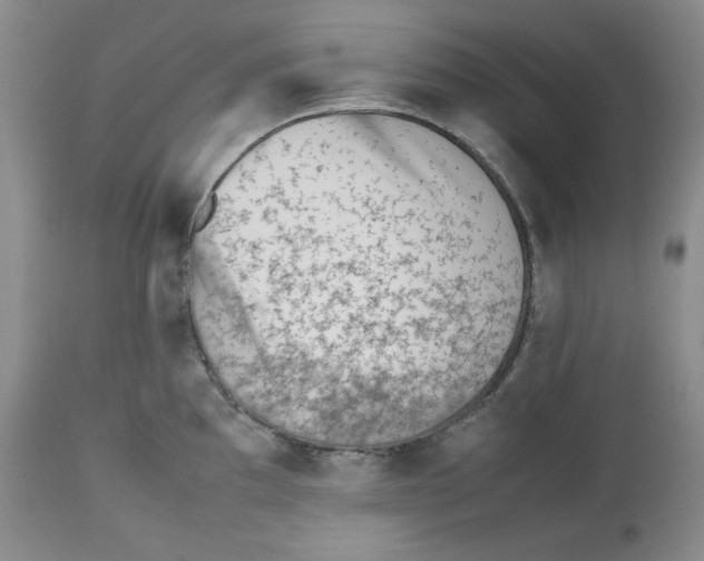 X0000112511097200909141154