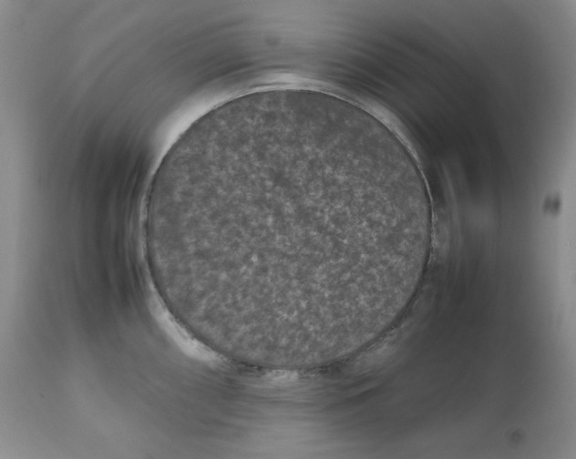 X0000112511098200909141154