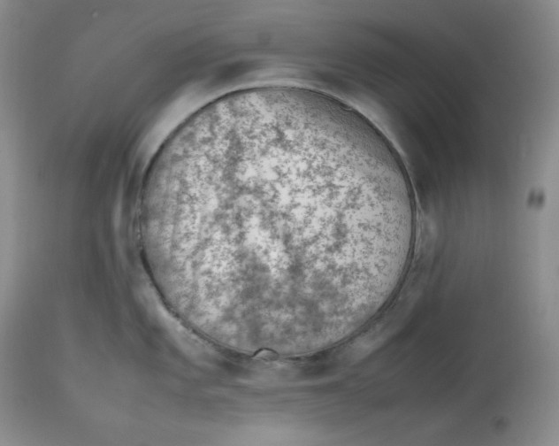 X0000112511101200909141154