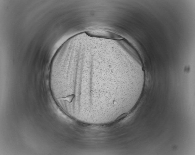 X0000112511102200909141154