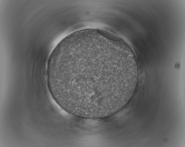 X0000112511103200909141154