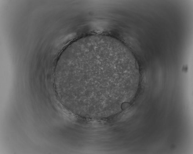 X0000112511105200909141153