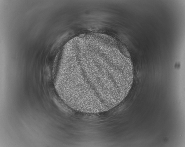 X0000112511106200909141153