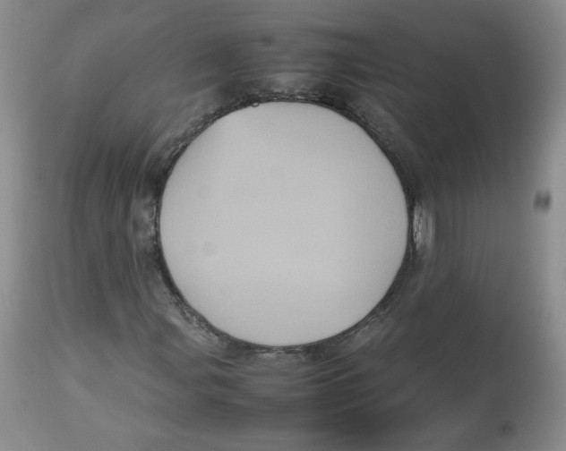 X0000112511107200909141153