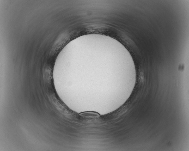 X0000112511108200909141153