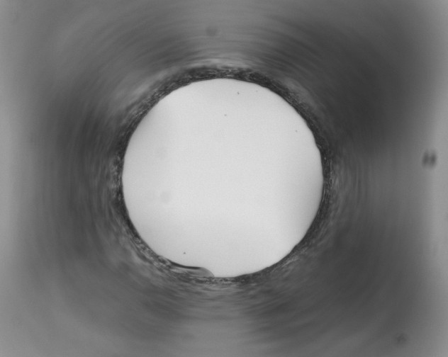 X0000112511110200909141153