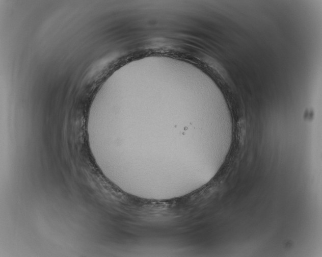 X0000112511111200909141153