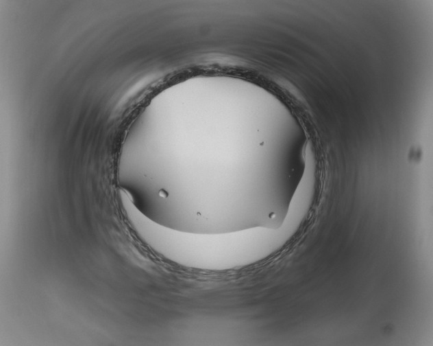 X0000112511112200909141153