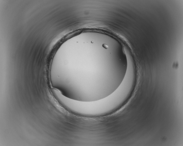 X0000112511114200909141153