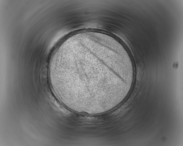 X0000112511115200909141153